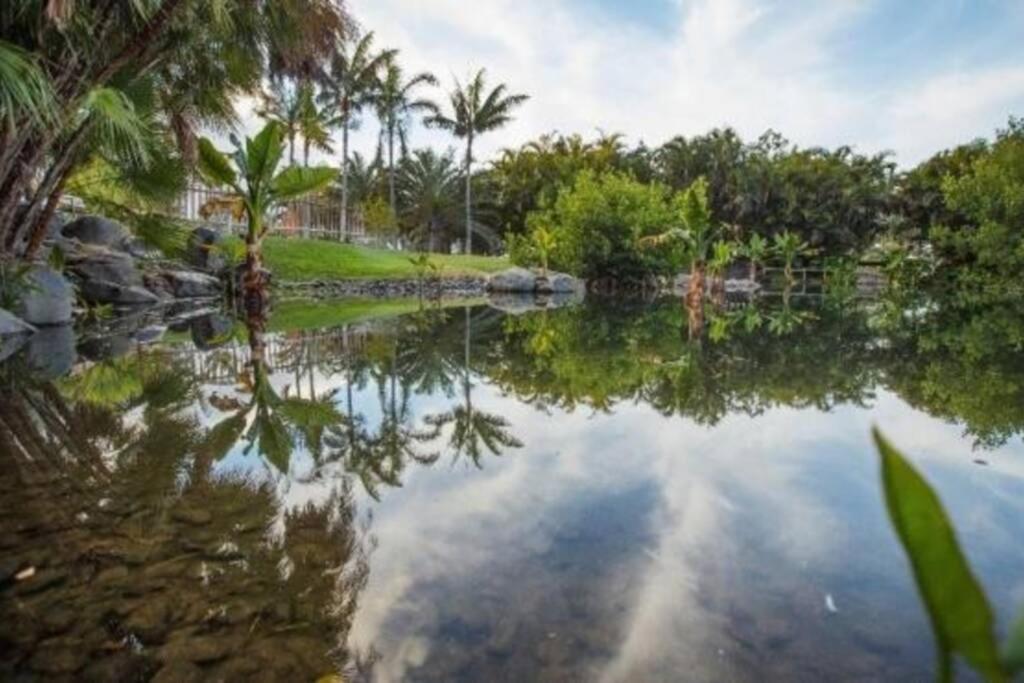 - Bien Situado En Zona Comercial - Buenas Conexiones Apartment Santa Cruz de Tenerife